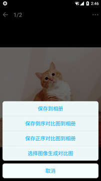 猫咪记账本