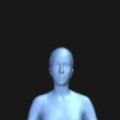 bodyvisualizer官方版 V3.1.5