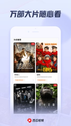 西瓜视频iOS V5.3.2截图4