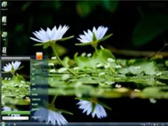 莲花池win7系统电脑高清桌面主题