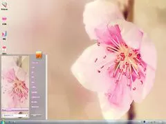 暖梅window7高清电脑壁纸