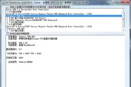 芯片检测工具(ChipGenius) v4.0中文绿色版