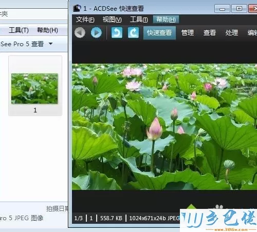 win10系统用ACDSee看图软件快速浏览管理图片文件夹的方法