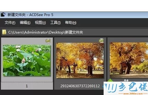 win10系统用ACDSee看图软件快速浏览管理图片文件夹的方法