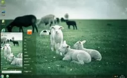 萌萌小绵羊win7电脑主题