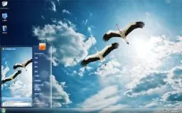 快乐飞翔的苍鹭win7电脑主题