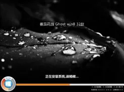 番茄花园ghost win8 X86（32位）怀旧体验版V2015.10