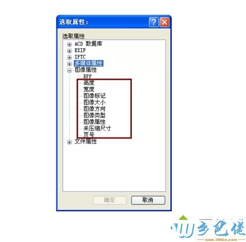 win10系统用acdsee做图像属性设置的方法