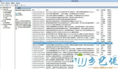 选择右侧“Bluetooth Support Service”