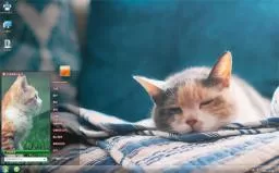 呆萌可爱小猫win7主题桌面