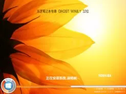 东芝笔记本专用ghost win8.1 32位精简安全版V2016.08