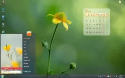 7月小清新植物win7主题桌面