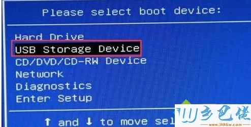 选择U盘启动项