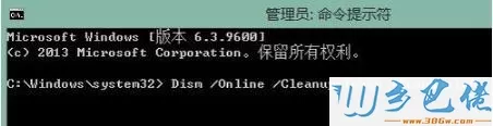 输入 Dism /Online /Cleanup-Image /ScanHealth