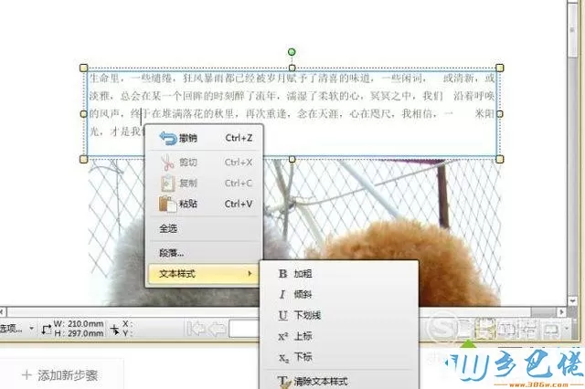 windowsxp系统下怎样更改PDF文档中的文字