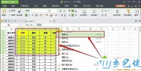 windowsxp系统下怎样截取WPS表格图片