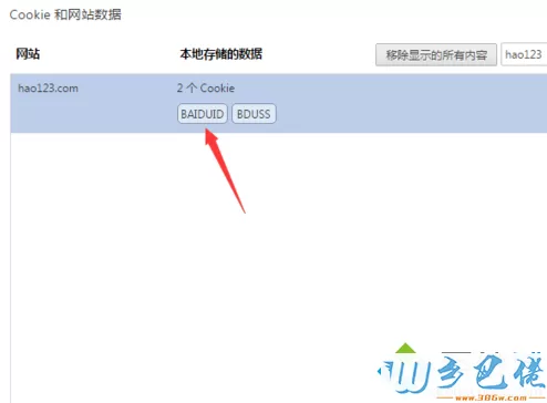怎么在谷歌Chrome浏览器中清除某个网站cookie----8