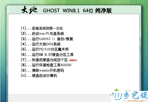 大地DADI GHOST WIN8.1 64位纯净版