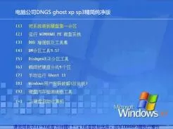 电脑公司DNGS ghost xp sp3精简纯净版V2017.03