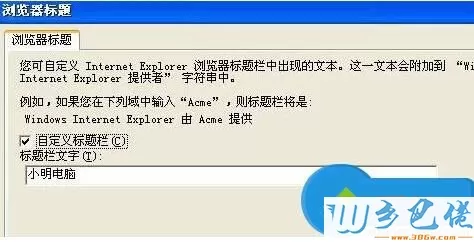 xp系统下给浏览器标题添加文字的步骤3