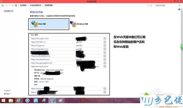 win8怎么通过web凭据管理器找回忘记的网页密码