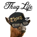 Thug Life Maker V2.5 苹果版