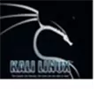 Kali Linux 中文版下载